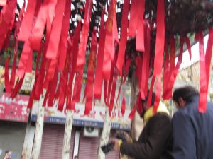 b_300_0_16777215_00_images_IMG_5300.JPG